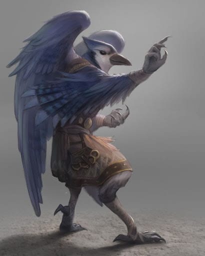 Bluejay Aarakocra monk in a battle stance with brass knuckles on his waist.