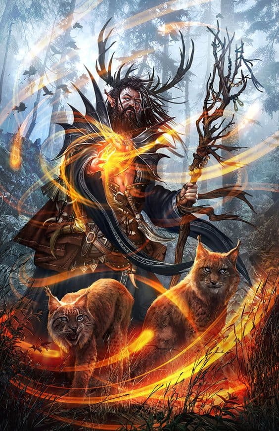 D&D 5e: Circle of Wildfire Druid Guide